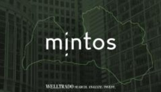 Mintos results overview, 2019